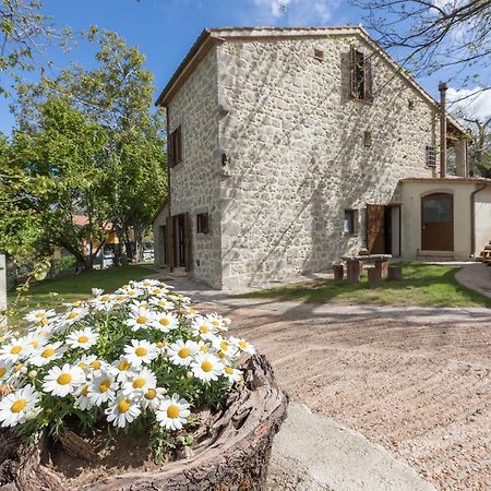 B&B Podere Legnotorto Castel del Piano  Exterior foto