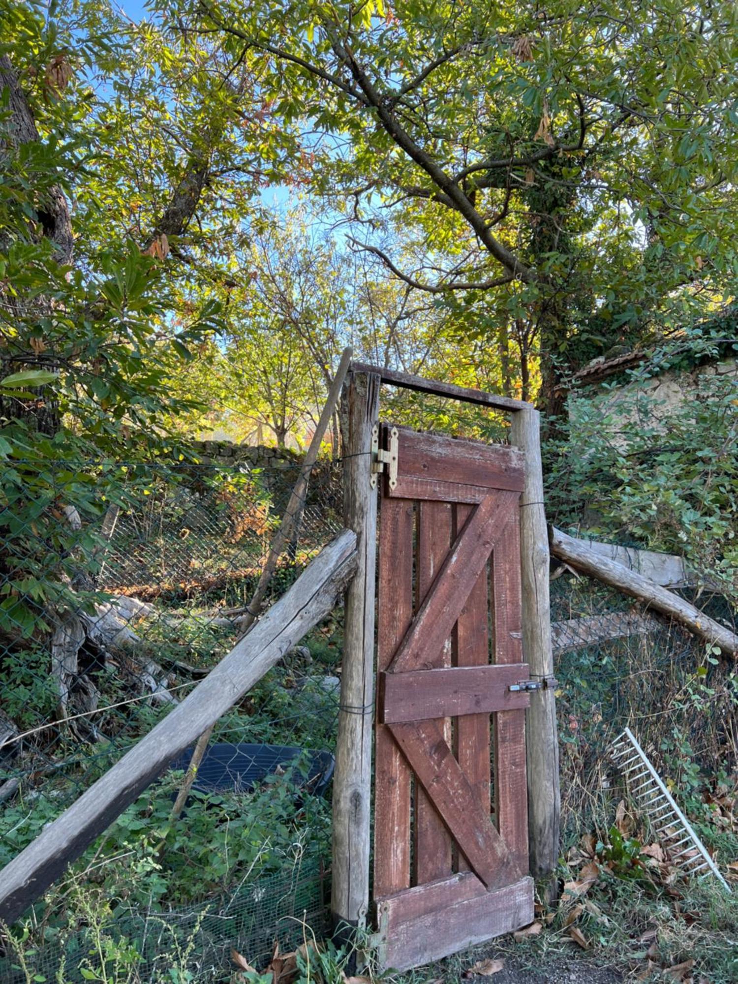 B&B Podere Legnotorto Castel del Piano  Exterior foto