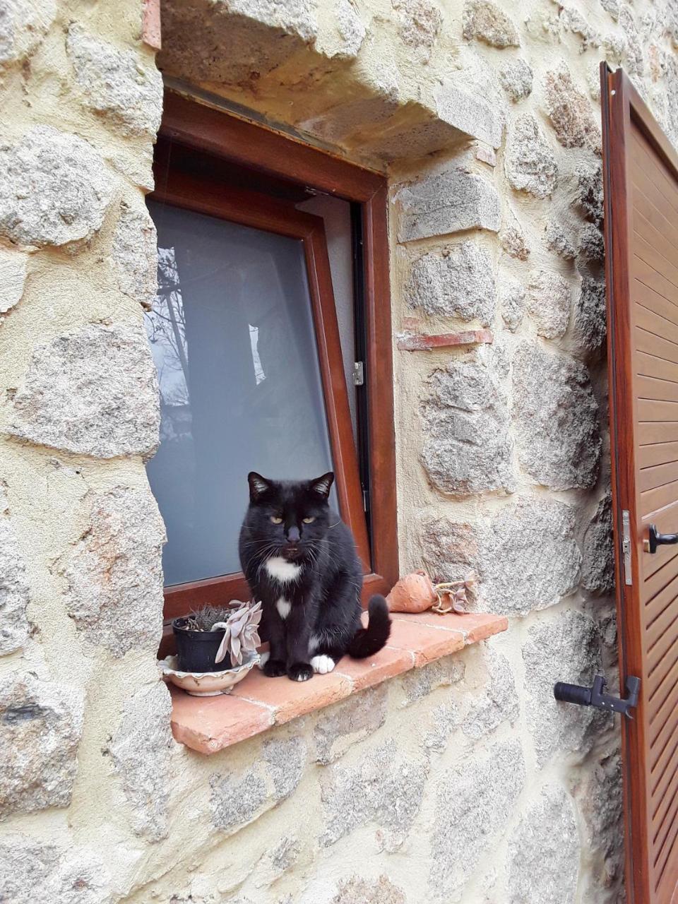 B&B Podere Legnotorto Castel del Piano  Exterior foto